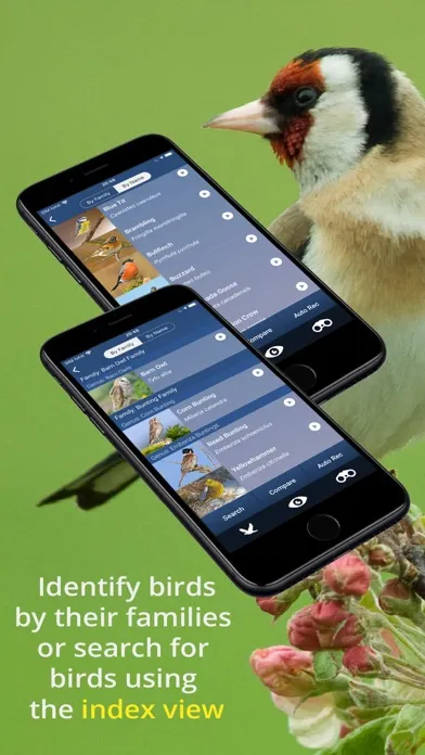 Bird Song Id UK Screenshots